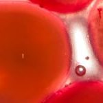 Nejvhodnější doba na detoxikaci těla je právě teď